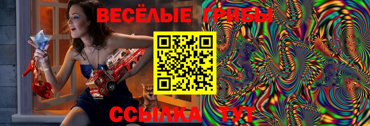 Галлюциногенные грибы Cubensis  Вход с VPN  Псилоцибиновые грибы Psilocybine cubensis  Ртищево 