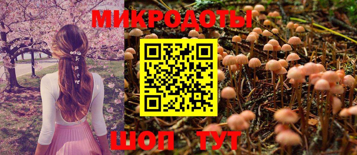 Галлюциногенные грибы Cubensis Ртищево